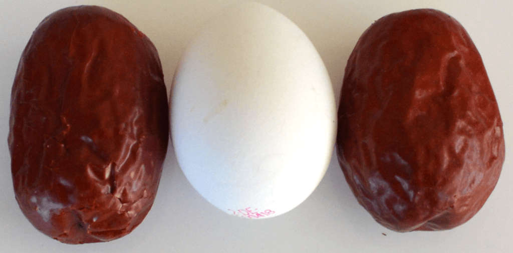 Rote Jujube XL 中国红枣 (chinesische Dattel) – Bild 4